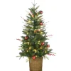 4 ft. Pre-Lit Scotch Creek Fir Tree with LED Lights