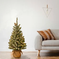 3 ft. Pre-Lit Snowy Concolor Fir Tree with LED Lights