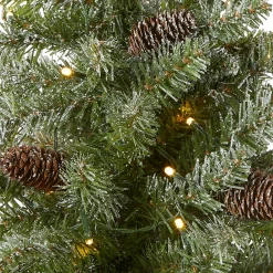 2 ft. Pre-Lit Snowy Concolor Fir Tree with LED Lights