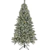 9 ft. Pre-Lit Snowy Harwich Tree with PowerConnect Dual Colored LED Lights