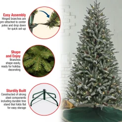 7 ft. Pre-Lit Snowy Olallie Pine Tree with LED Lights