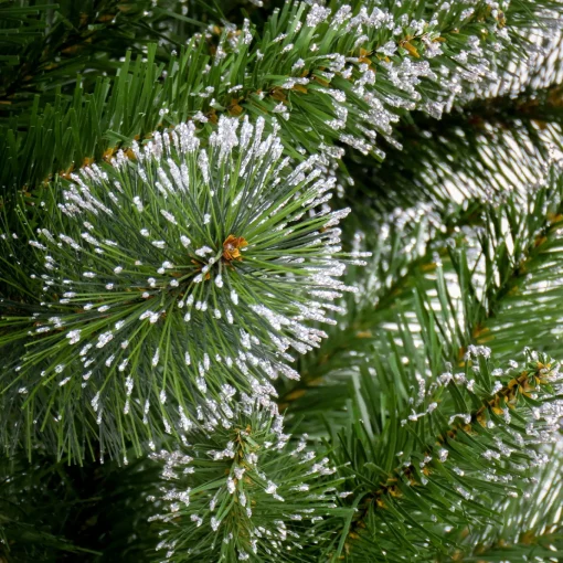 6 ft. Snowy Sierra Spruce Tree