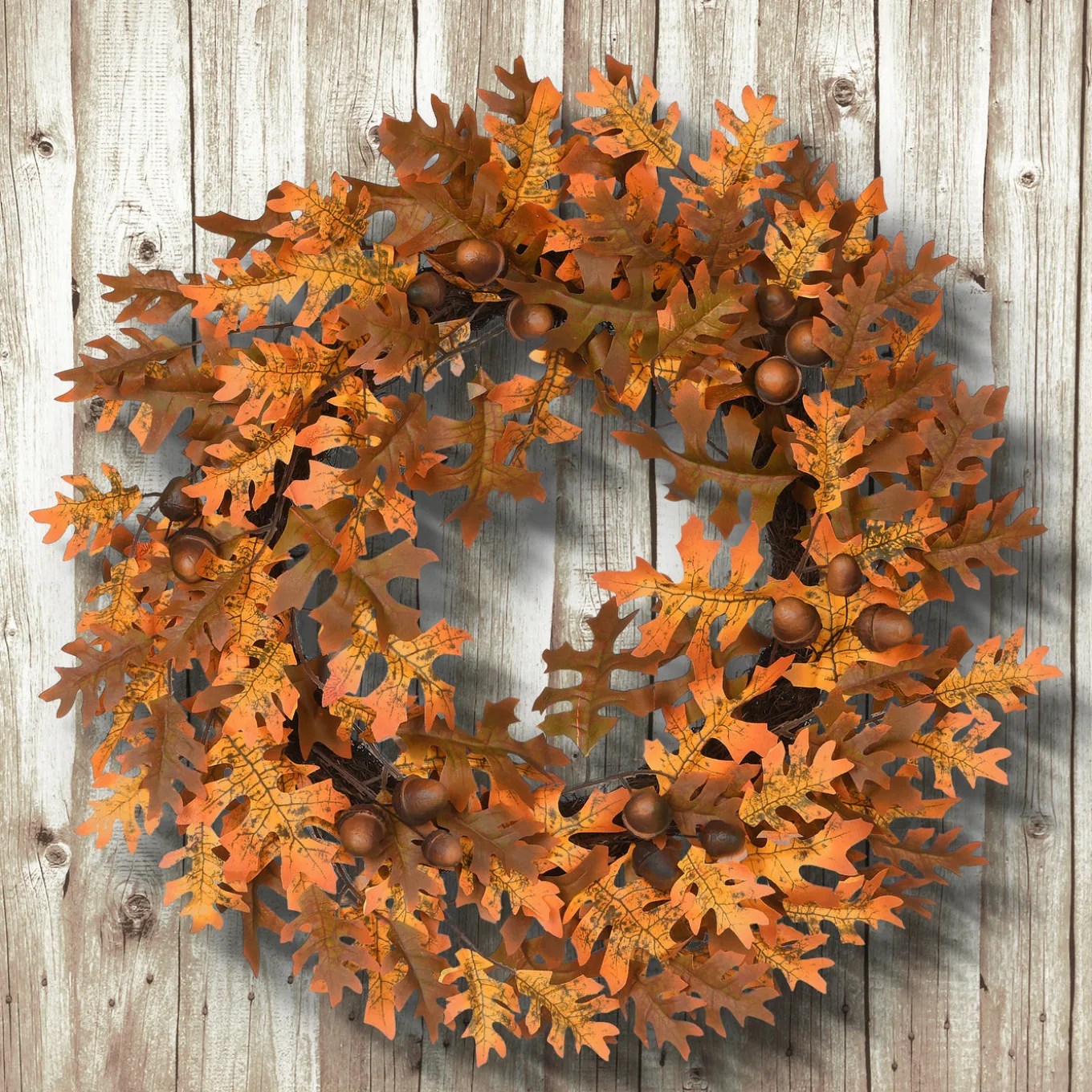 24 in. Fall Wreath with Acorns, Oak Leaves