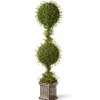 60 in. Mini Tea Leaf 2 Ball Topiary in a Silver Square Pot