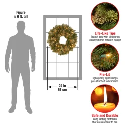 24 in. Pre-Lit Carolina Pine Wreath with LED Lights