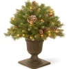 24 in. Pre-Lit Frosted Berry Porch Bush with Clear Lights