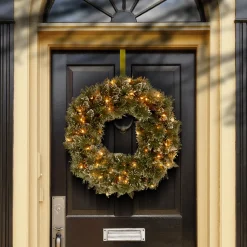 24 in. Pre-Lit Glittery Bristle Pine Wreath with LED Lights