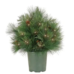26 in. Pre-Lit HGTV Home Collection Black Tie Planter Filler