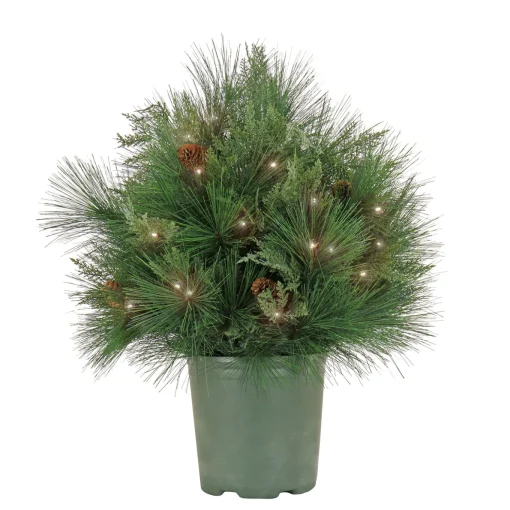 26 in. Pre-Lit HGTV Home Collection Black Tie Planter Filler