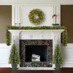 Pre-Lit Promotional Green Assortment Set of 2 Entrance Trees, 1 Wreath, 1 Garland