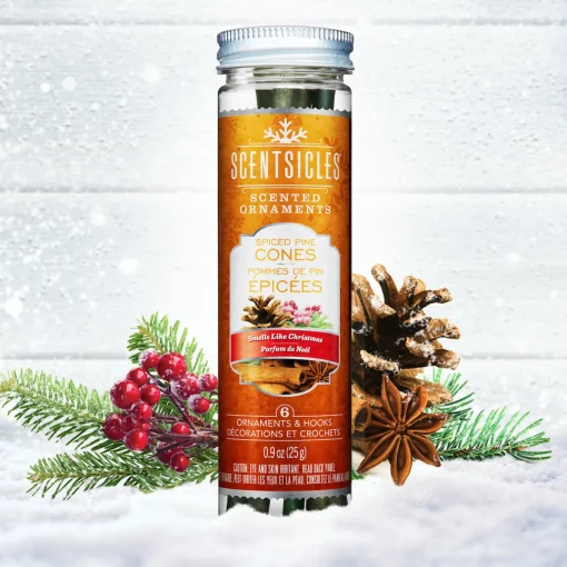 Scented Ornaments, 2-Pack- 6ct Bottle, Spiced Pine Cones, Fragrance-Infused Paper Sticks